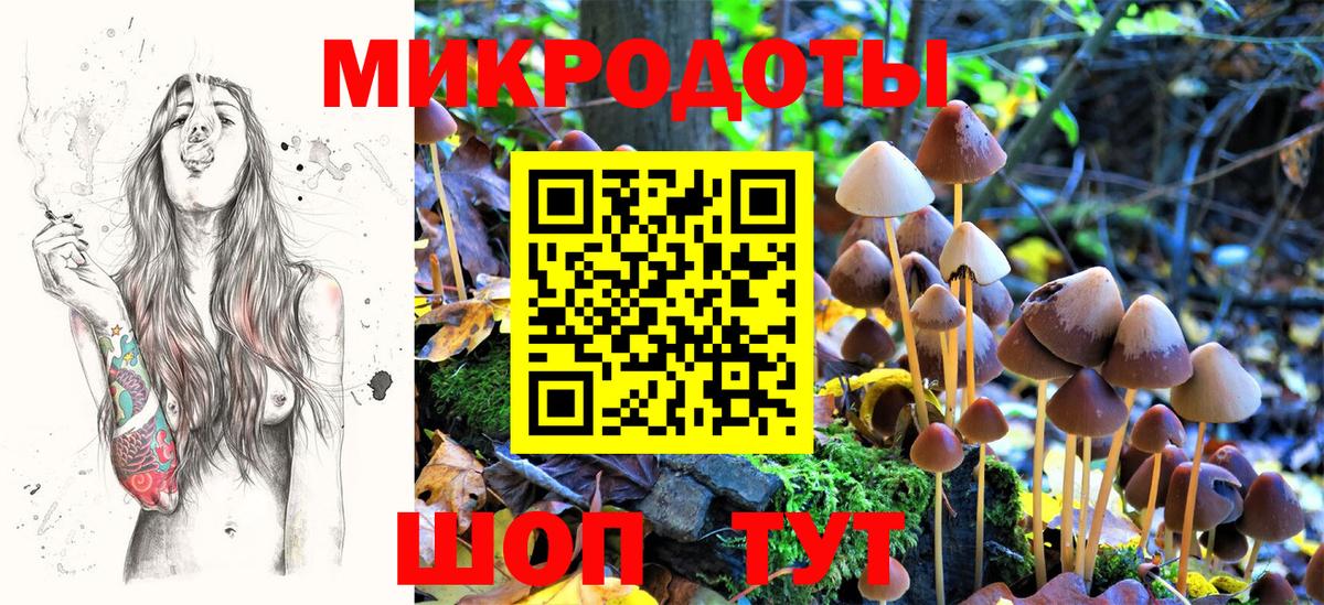 Галлюциногенные грибы мицелий Богородицк